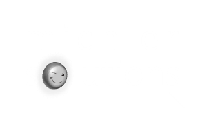 logoMichlerSolutions